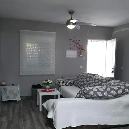 Evans Realty Be Jacuzzi & Parking & Jardin